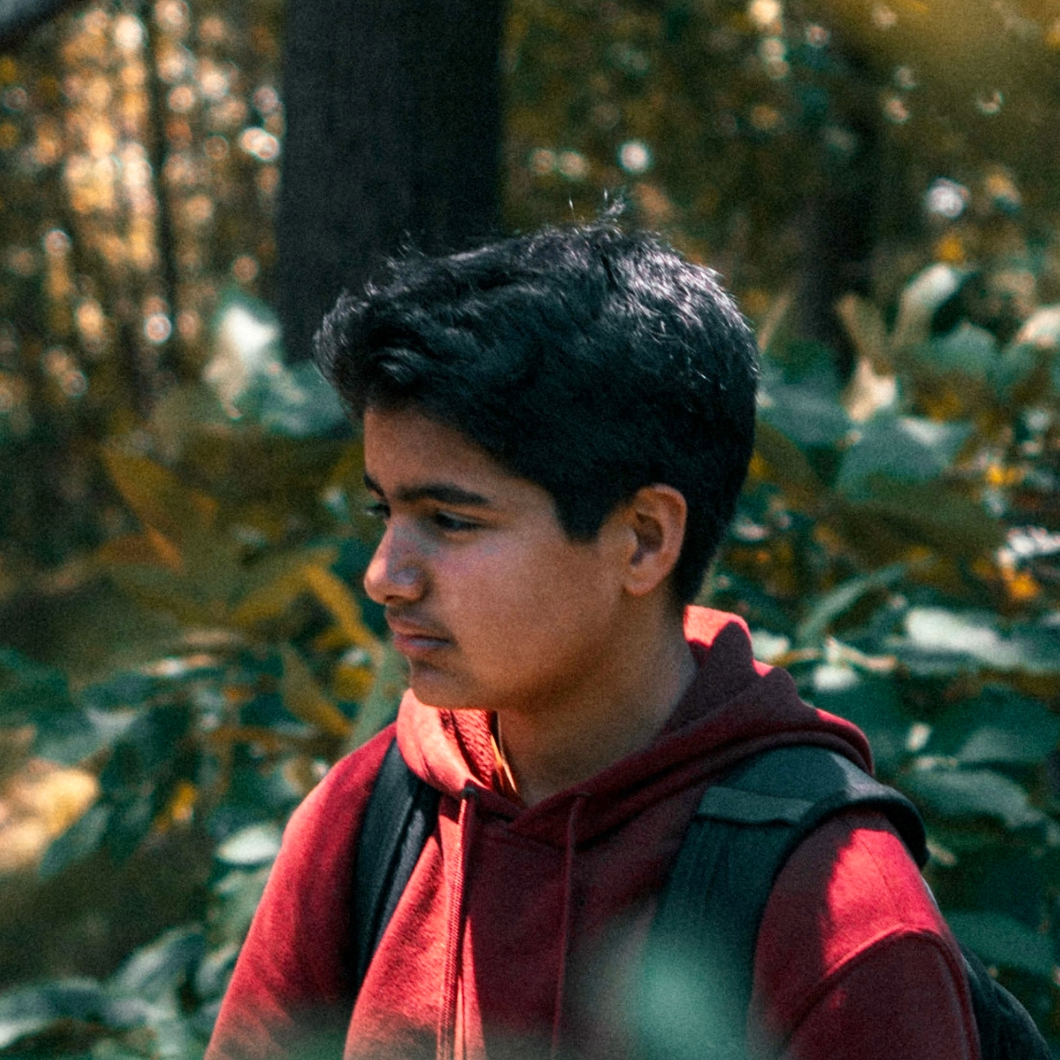 Vedant Joshi